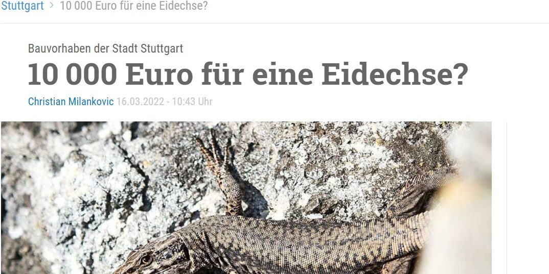 Webaufnahme_23-3-2022_11020_www.stuttgarter-nachrichten.de