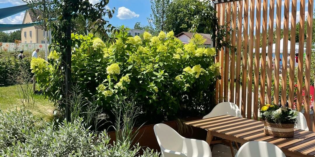 NB-1-290360828_486771689919150_2743675833471320461_n