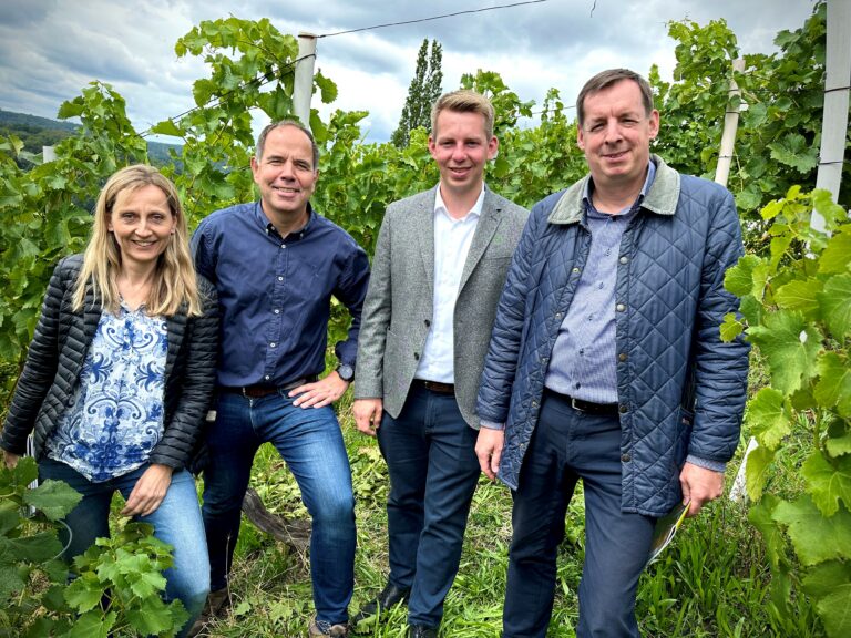 Erleichterung für Degerlocher Wengerter, Wirte und Vereine