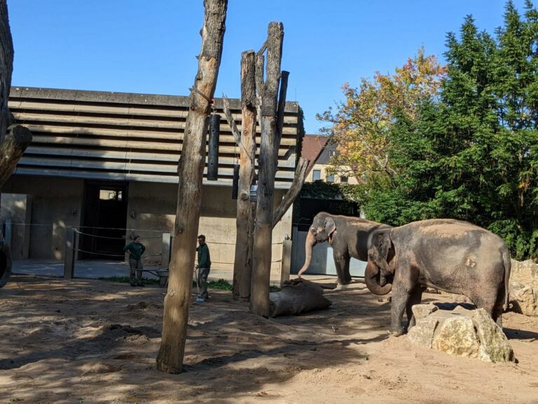 Parkgebühren in der Wilhelma – Besucher werden massiv belastet