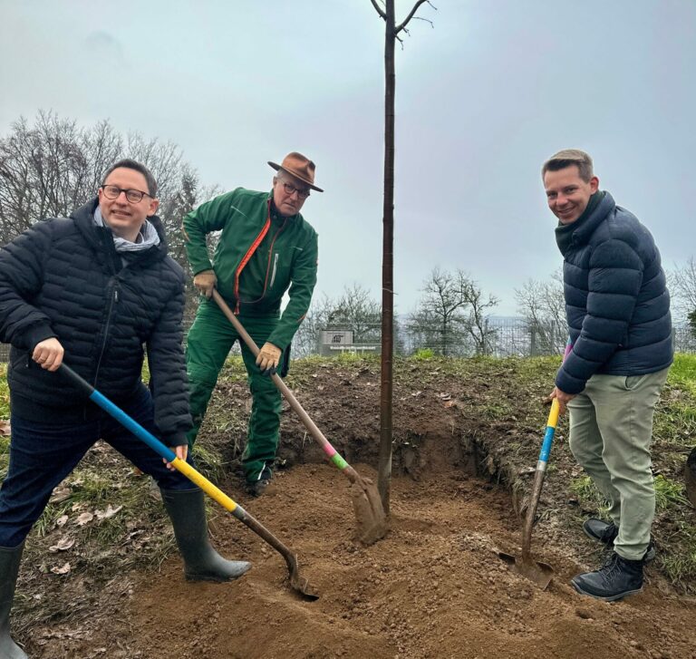 Erfolgreiche Baumpflanzaktion in meinem Stuttgarter Stadtbezirk Degerloch